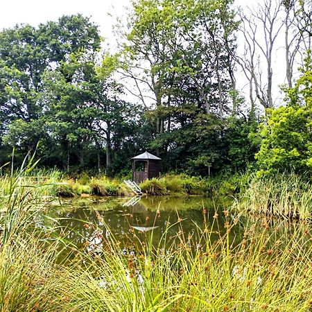 Charming Tranquil Shepherds Hut With Lakeside Balcony 'Roach' Uckfield Zewnętrze zdjęcie