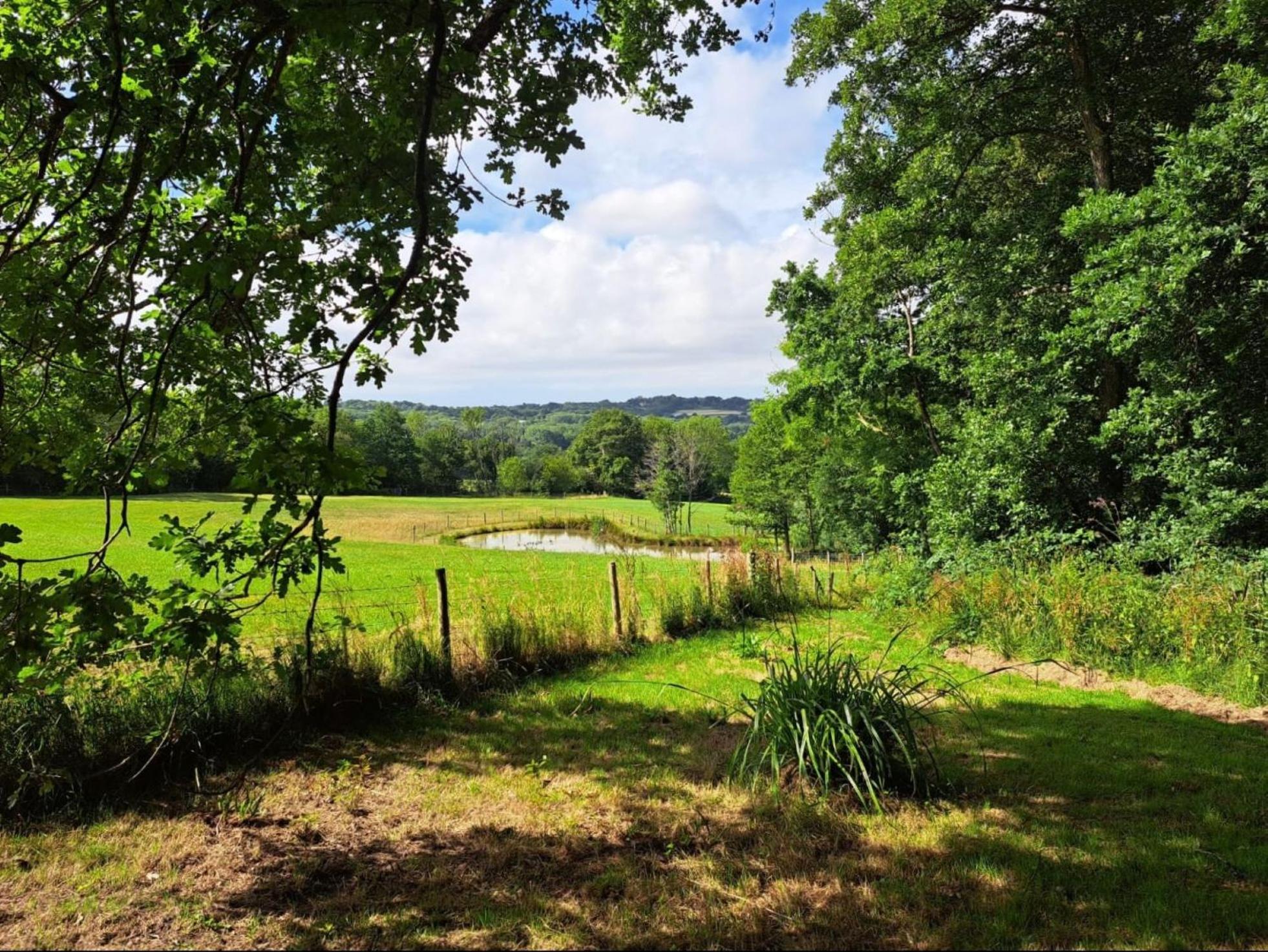 Charming Tranquil Shepherds Hut With Lakeside Balcony 'Roach' Uckfield Zewnętrze zdjęcie